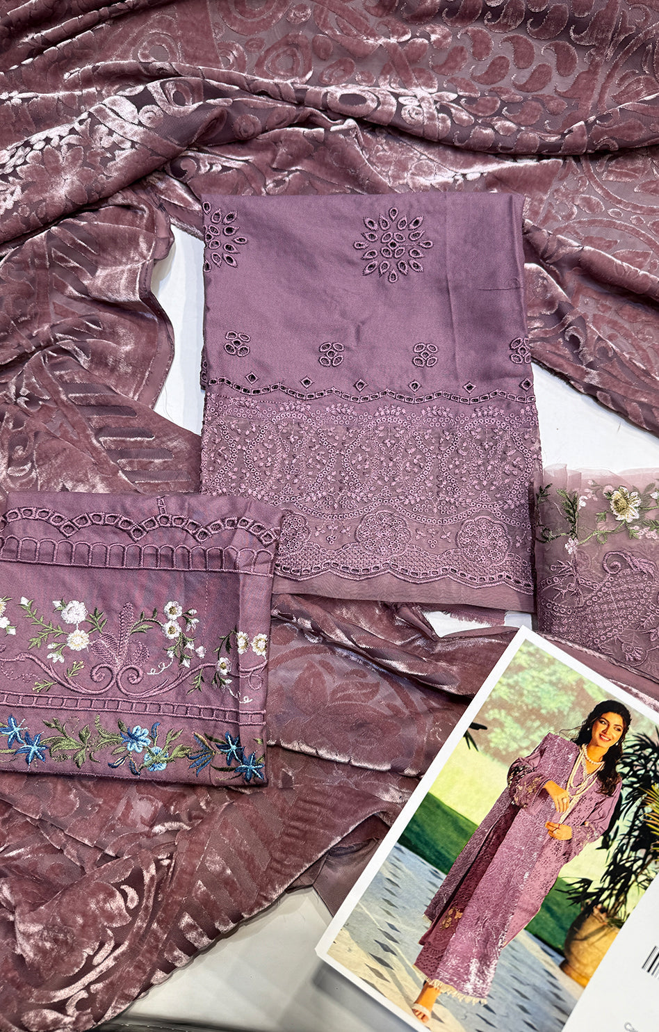 ELAF 01 DHANAK PALACHI SHAWL