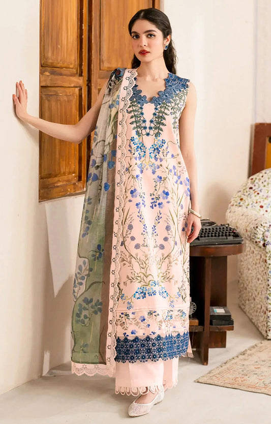 ASIFA NABEEL LAWN MVL 13 SHABNAM